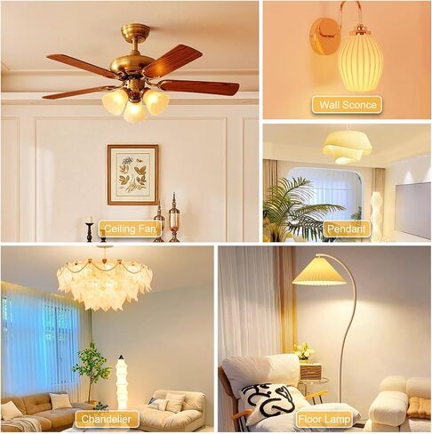 hansang A15 LED E26 Small Light Bulb, Daylight 5000K, 60Watt Equivalent Ceiling Fan Light Bulbs, E26 Standard Base Appliance Light Bulb, 600 Lumen, CRI85+, Eye Protection, 120V, Non-Dimmable 6 Pack in Saudi Arabia