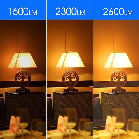 A21 LED Bulbs 150 Watt Equivalent LED Light Bulb, Soft White 2700K, 2600 High Lumens Super Bright Light Bulb, E26 Base, Non Dimmable, UL Listed, 2 Pack in Kuwait