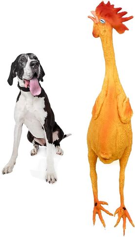 Extra Large Rubber Chicken Dog Toys Natural Rubber (Latex) Lead-Free Chemical-Free Complies to Same Safety Standards as Children’s Toys Soft Unstuffed Squeaky in Saudi Arabia