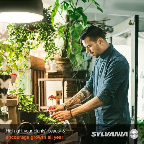 لمبة الإضاءة المتوهجة Spot-Gro 60 وات من سيلفانيا، A19، قابلة للتعتيم، 705 لومن، متجمد، 2850 ك، أبيض ناعم - عبوة واحدة (12280) in Saudi Arabia