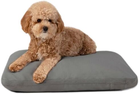 Diggs Pillo Dog Bed; Durable, Cozy, Versatile, Best for Puppies Nesting & Burrowing, Medium in Saudi Arabia