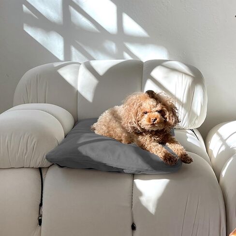 Diggs Pillo Dog Bed; Durable, Cozy, Versatile, Best for Puppies Nesting & Burrowing, Medium in Saudi Arabia
