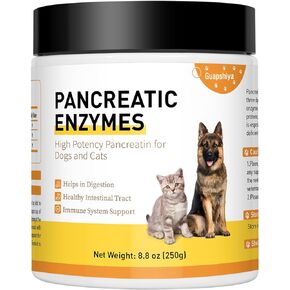 8.8 Ounces Pancreatic Enzymes for Dogs - 10x Pancreatin - Dog Digestive Enzymes Powder for EPI - Helps Restore Normal Weight, Supports Pancreatic Issues and Relieves Digestive Stress