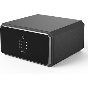 W-Series Security Box with Key, Safe Box,1.45 Cubic Fingerprint Password,Safety Boxes for Home
