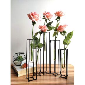 Hinged Flower Vase, Black Metal Frame Vase with 5 Test Tubes, Propagation Station Plant Holder, Home Decor, Balcony