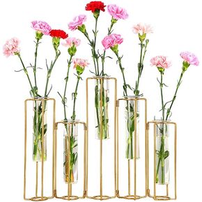 Hinged Flower Vase, Black Metal Frame Vase with 5 Test Tubes, Propagation Station Plant Holder, Home Decor, Balcony