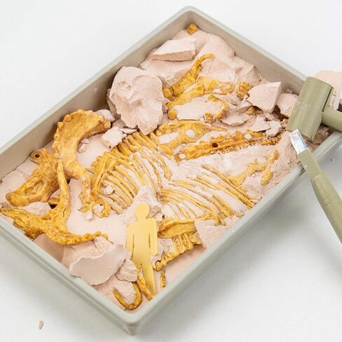 Science4you T Rex Fossil Digging Kit for Kids - T Rex Dinosaurs for Kids, Excavate and Assemble 15 Pieces, Digging Kit for Kids + Dino Toys and Games for Kids, Gifts for 6+ Year Old Boys and Girls in Kuwait