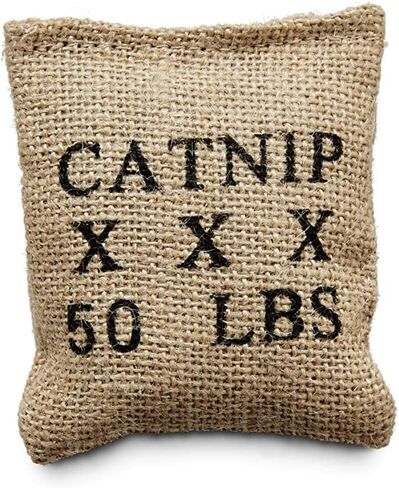 Leaps & Bounds Burlap Bag Catnip Cat Toy (2 Pack) in Saudi Arabia