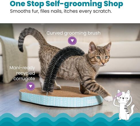 Catstages Bowl Track Scratcher Cat Ball Track Scratcher and Lougner, Multicolored in Saudi Arabia