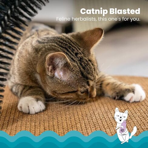 Catstages Bowl Track Scratcher Cat Ball Track Scratcher and Lougner, Multicolored in Saudi Arabia