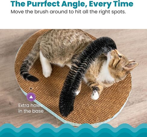 Catstages Bowl Track Scratcher Cat Ball Track Scratcher and Lougner, Multicolored in Saudi Arabia