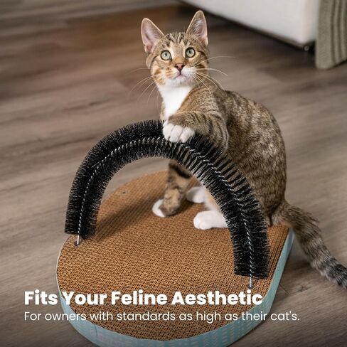 Catstages Bowl Track Scratcher Cat Ball Track Scratcher and Lougner, Multicolored in Saudi Arabia