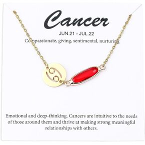 14k Gold Plated Zodiac Birthstone Bracelet, Horoscope Sign Charm Link Bracelet for Women Girls' Birthday Gift