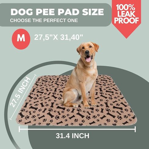 B-R - 2 Pack Washable Pee Pads for Dogs. Superior Reusable Puppy Pads. 15.7" X 23.6" or 40cm X 60cm. Highly Absorbent Mats for Pets, Non-Slip Polyester, Pee Pads for Puppy Training [Orange, Small] in Saudi Arabia