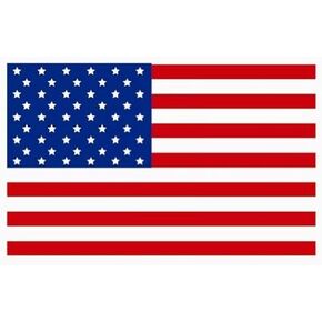 600 American Flag Stickers - 2 Rolls of 300 Labels - 2 x 3 Inches US Patriotic USA Flag Stickers Label for American Made Products Packages Craft Work, Weather Resistant
