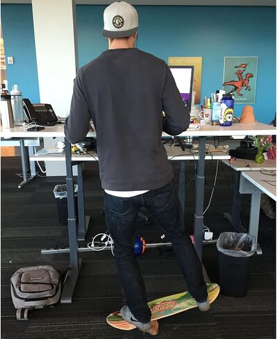 Zippy Rock Compatible with All Vew-Do Balance Boards (Beginner to Intermediate Skill Level) in Saudi Arabia