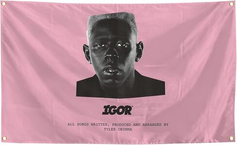 تايلر مغني الراب المغني الخالق نسيج IGOR غلاف الألبوم نسيج 3x5 أقدام نسيج رجل الكهف جدار العلم لديكور غرفة النوم الكلية، في الهواء الطلق، الأطراف، هدية، البوابات الخلفية in Kuwait