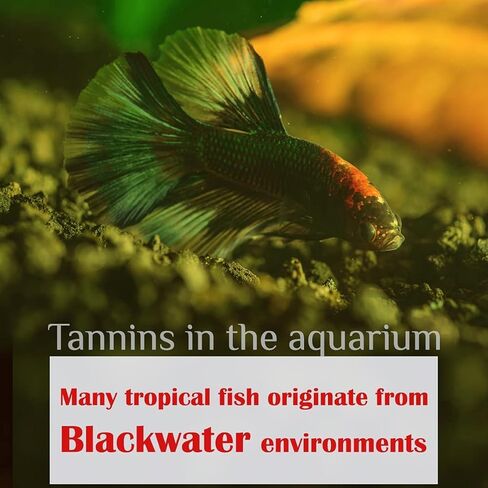 Premium Guava Leaves. Pack of 25, Natural Dried Whole Leave Tea. Blackwater for Aquarium, Tannins Leaf for Freshwater Tanks. Improves Tannin in Aquarium Water - Healthy for Ghost Shrimp Betta Fish. in Saudi Arabia