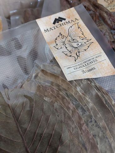 Premium Guava Leaves. Pack of 25, Natural Dried Whole Leave Tea. Blackwater for Aquarium, Tannins Leaf for Freshwater Tanks. Improves Tannin in Aquarium Water - Healthy for Ghost Shrimp Betta Fish. in Saudi Arabia