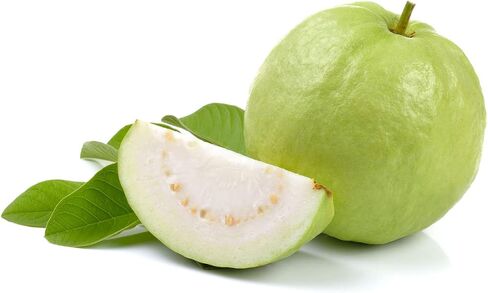 Premium Guava Leaves. Pack of 25, Natural Dried Whole Leave Tea. Blackwater for Aquarium, Tannins Leaf for Freshwater Tanks. Improves Tannin in Aquarium Water - Healthy for Ghost Shrimp Betta Fish. in Saudi Arabia