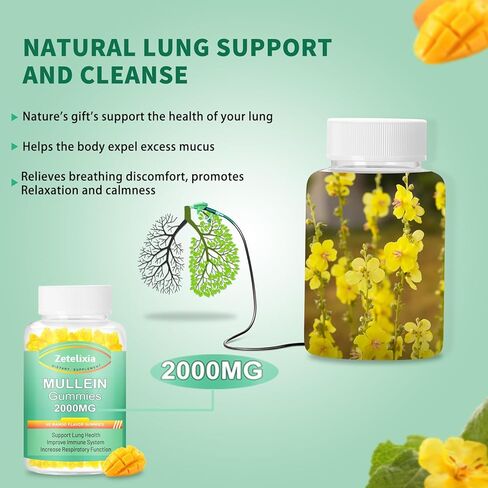 Mullein Gummies - 2000mg Mullein Leaf Extract for Lungs,Lung Detox Cleanse for Smokers,Mullein Lung Support Supplement for Immune Support,Mucus Relief, 60 Sugar Free Vegan Gummies in Saudi Arabia