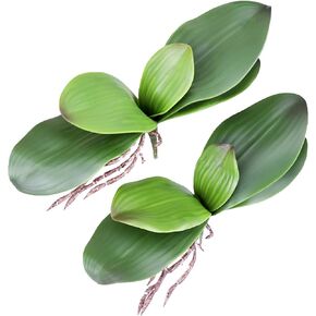 Orchid Leaves Artificial Phalaenopsis Stems Leaf Faux Cymbidium Flower Foliage Green Real Touch Latex Bulk 8 Inches 2pcs
