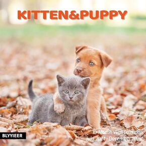 2025 Wall Calendar,Calendar 2025,Kittens Monthly Wall Calendar, 12" x 24" Open,Family Planner Calendar Organizer with Cute kitten & flower Images, for Kitty Cat Lovers