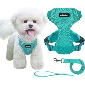 مجموعة حزام ومقود الكلاب المقاومة للسحب من AIITLE - حزام للكلاب قابل للتعديل مع سترة مبطنة لجميع الأحوال الجوية - حزام عاكس للضوء قابل للتعديل للحيوانات الأليفة - سهل الارتداء على الكلاب الصغيرة جدًا والقطط المنزلية - أزرق S in Kuwait