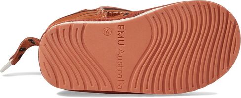 الاتحاد الاقتصادي والنقدي الأسترالي النمر (طفل صغير/طفل صغير/طفل كبير) in Kuwait