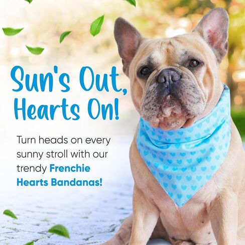 Dog Bandana - Limited Edition Reversible Heart & Frenchie Pattern - Summer Cooling Accessories for Dog Outfit - 100% Cotton Dog Cooling Bandana - Cute Blue Small Bandana in Saudi Arabia