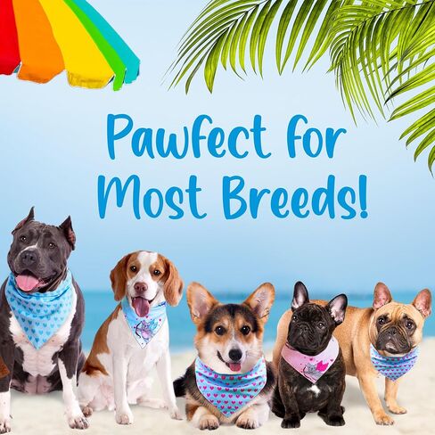 Dog Bandana - Limited Edition Reversible Heart & Frenchie Pattern - Summer Cooling Accessories for Dog Outfit - 100% Cotton Dog Cooling Bandana - Cute Blue Small Bandana in Saudi Arabia