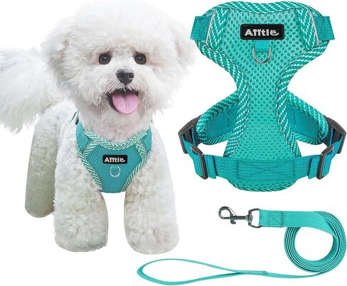 مجموعة حزام ومقود الكلاب المقاومة للسحب من AIITLE - حزام للكلاب قابل للتعديل مع سترة مبطنة لجميع الأحوال الجوية - حزام عاكس للضوء قابل للتعديل للحيوانات الأليفة - سهل الارتداء على الكلاب الصغيرة جدًا والقطط المنزلية - أزرق S in Kuwait