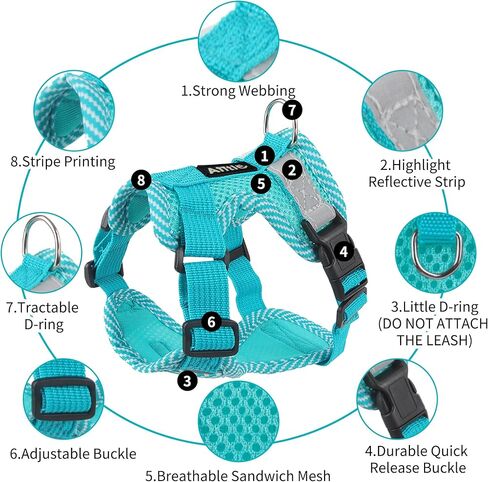 مجموعة حزام ومقود الكلاب المقاومة للسحب من AIITLE - حزام للكلاب قابل للتعديل مع سترة مبطنة لجميع الأحوال الجوية - حزام عاكس للضوء قابل للتعديل للحيوانات الأليفة - سهل الارتداء على الكلاب الصغيرة جدًا والقطط المنزلية - أزرق S in Kuwait