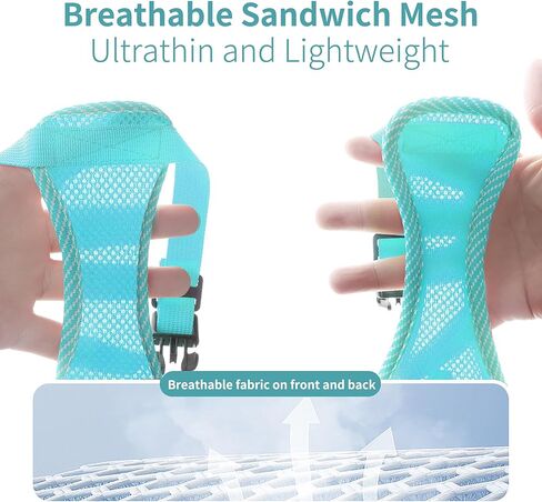 مجموعة حزام ومقود الكلاب المقاومة للسحب من AIITLE - حزام للكلاب قابل للتعديل مع سترة مبطنة لجميع الأحوال الجوية - حزام عاكس للضوء قابل للتعديل للحيوانات الأليفة - سهل الارتداء على الكلاب الصغيرة جدًا والقطط المنزلية - أزرق S in Kuwait