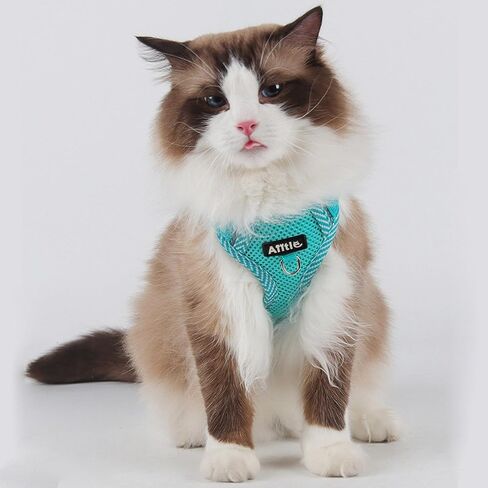 مجموعة حزام ومقود الكلاب المقاومة للسحب من AIITLE - حزام للكلاب قابل للتعديل مع سترة مبطنة لجميع الأحوال الجوية - حزام عاكس للضوء قابل للتعديل للحيوانات الأليفة - سهل الارتداء على الكلاب الصغيرة جدًا والقطط المنزلية - أزرق S in Kuwait