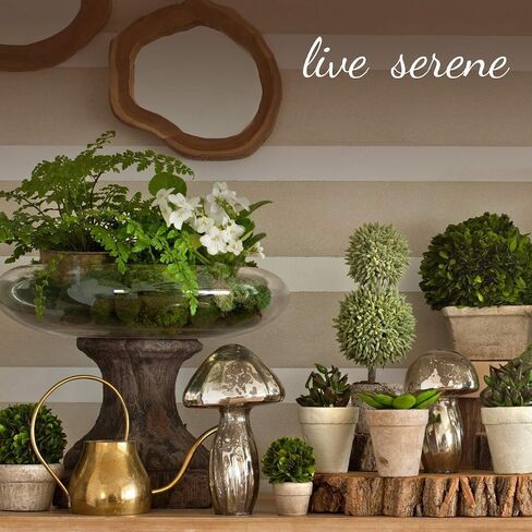 Serene Spaces Living Decorative Clear Glass Bottle Vases with Cork Stoppers, Vintage Wedding Decor, Use for Floral Centerpieces at Party, Event, Measures 11" Tall & 5.75" Diameter, Sold Individually in Saudi Arabia