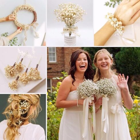 نفس مجفف للأطفال: باقة زهور أنفاس الطفل مع أكثر من 2500 من الزهور الجافة البيضاء العاجية، وفروع جيبسوفيلا طبيعية للمنزل، وديكور الطاولة، ومجموعة من الزهور الجافة للمزهرية، وحفلات الزفاف، والأعمال اليدوية، والحفلات (3 أوقية) in Kuwait