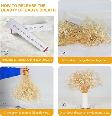 نفس مجفف للأطفال: باقة زهور أنفاس الطفل مع أكثر من 2500 من الزهور الجافة البيضاء العاجية، وفروع جيبسوفيلا طبيعية للمنزل، وديكور الطاولة، ومجموعة من الزهور الجافة للمزهرية، وحفلات الزفاف، والأعمال اليدوية، والحفلات (3 أوقية) in Kuwait