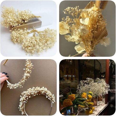 نفس مجفف للأطفال: باقة زهور أنفاس الطفل مع أكثر من 2500 من الزهور الجافة البيضاء العاجية، وفروع جيبسوفيلا طبيعية للمنزل، وديكور الطاولة، ومجموعة من الزهور الجافة للمزهرية، وحفلات الزفاف، والأعمال اليدوية، والحفلات (3 أوقية) in Kuwait