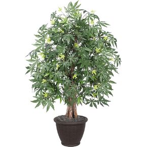 Vickerman 4' Artificial Japanese Maple Extra Full Bush, Brown Plastic Container.
