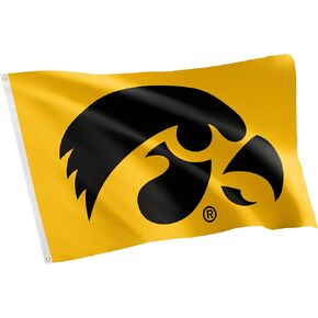 Desert Cactus University of Iowa Hawkeyes Flags Banners 100% Polyester Indoor Outdoor 3x5 (Style 2)