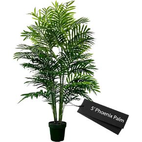 5' Artificial Phoenix Palm Plant, Artificial Tree, Green, Cypress & Alabaster