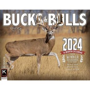 2024 Monster Bucks & Bulls Signature Series Wall Calendar 16-Month X-Large Size 14x22, Best Whitetail Deer | Mule Deer Buck | Elk Calendar by The KING Company-Monster Calendars