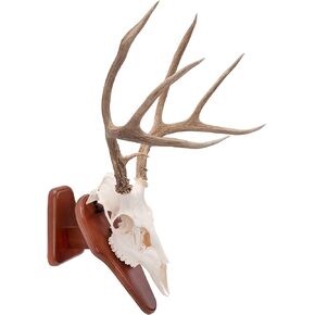 Allen Company EZ Mount Presentation Pedestal & Plaque for Skull Mount, Works with Actual Deer Skulls & EZ Mount Skulls, Hardwood