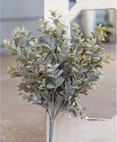 Pebble Eucalyptus Bush 14" in Saudi Arabia