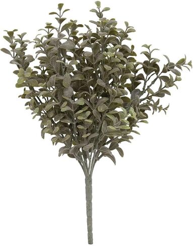 Pebble Eucalyptus Bush 14" in Saudi Arabia