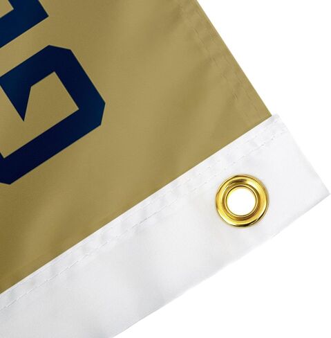 Desert Cactus Georgia Tech Flag Yellow Jackets GT Institute of Technology Flags Banners 100% Polyester Indoor Outdoor 3x5 Flag (Style Y) in Saudi Arabia