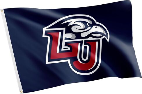 Desert Cactus Liberty University Flag Flames Flags Banners 100% Polyester Indoor Outdoor 3x5 (Style 1) in Saudi Arabia