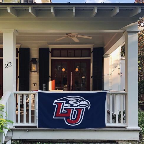 Desert Cactus Liberty University Flag Flames Flags Banners 100% Polyester Indoor Outdoor 3x5 (Style 1) in Saudi Arabia