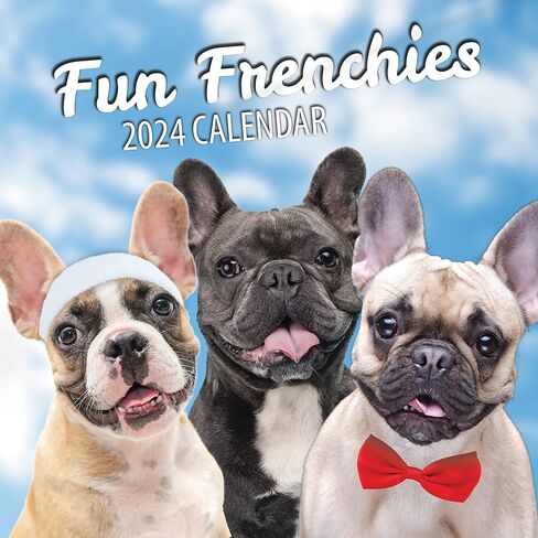 تقويم حائط Fun Dogs 2024 - Frenchies French Bulldog - مخطط عائلي كبير ومنظم يومي مع صور شهرية لطيفة - تصميم نحيف 2024 مخطط حائط وهدية - تقويم ممتع in Kuwait